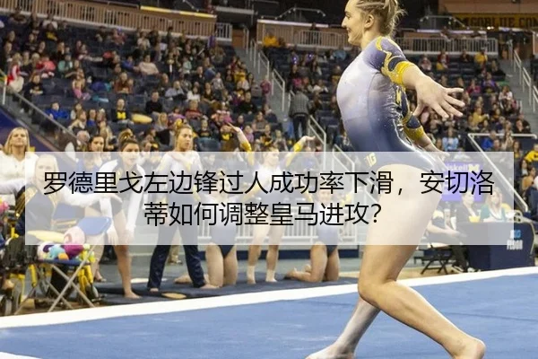 luo-de-li-ge-zuo-bian-feng-guo-ren-cheng-gong-lv-xia-hua-an-qie-luo-di-ru-he-tiao-zheng-huang-ma-jin-gong-3-243.jpg