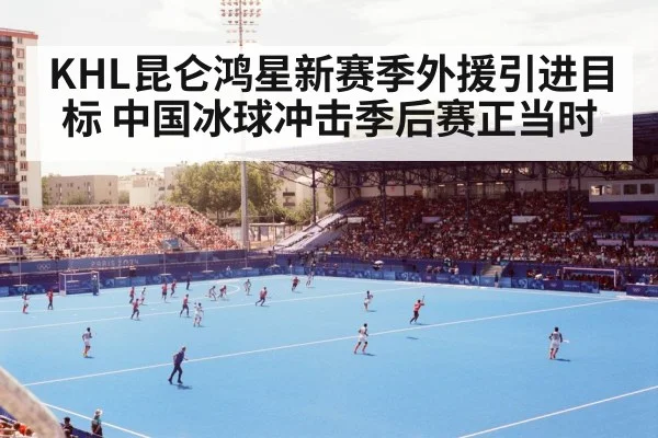 hockey stadium crowd